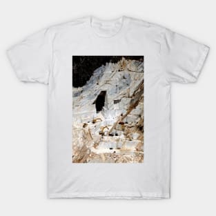 Marble quarry (T850/0153) T-Shirt